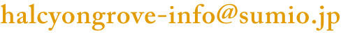E-mail Address