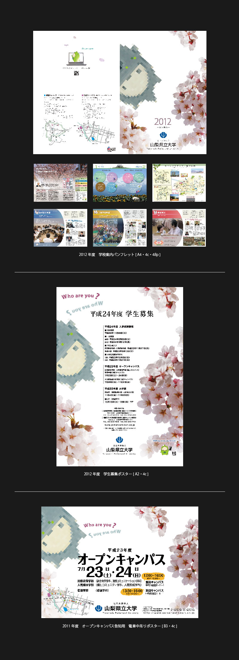 山梨県立大学 2012年度大学案内など